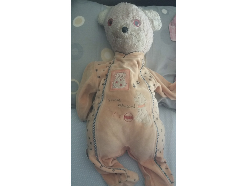 O meu companheiro e confidente