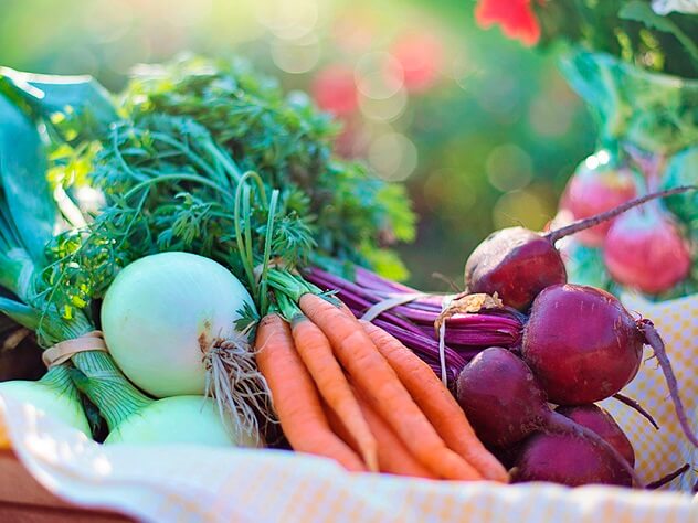 Conhece realmente as vitaminas e as suas funções?