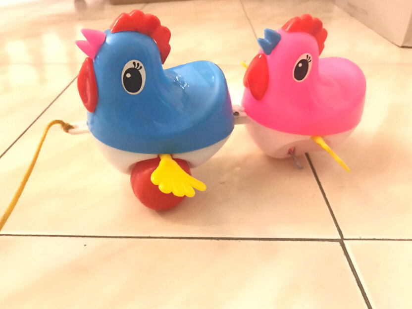 Os galinhos com rodas