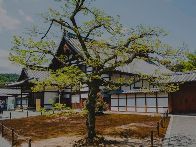 Reiki – como equilibrar o corpo e a mente