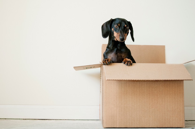 Truques para poupar na mudança de casa